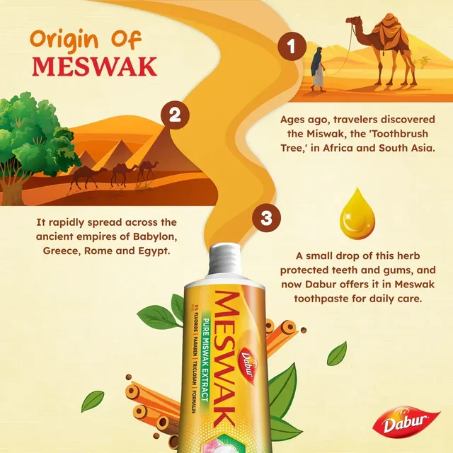 DABUR INDIA LIMITED Meswak Paste - Dabur - 300Gm