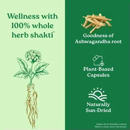 ORGANIC INDIA Ashwaganda Capsule - Organic - 60Capsule