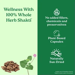 ORGANIC INDIA Liver Kidney Care Capsule - Organic - 60Capsule