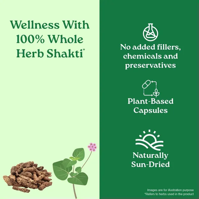 ORGANIC INDIA Liver Kidney Care Capsule - Organic - 60Capsule