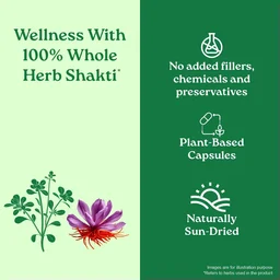 ORGANIC INDIA Oh-Boy Cap - Organic - 30Capsule