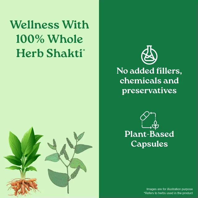 ORGANIC INDIA Turmeric - Organic - 60Capsule