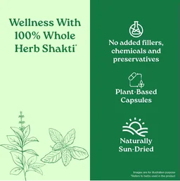 ORGANIC INDIA Immunity Capsule - Organic - 60Capsule
