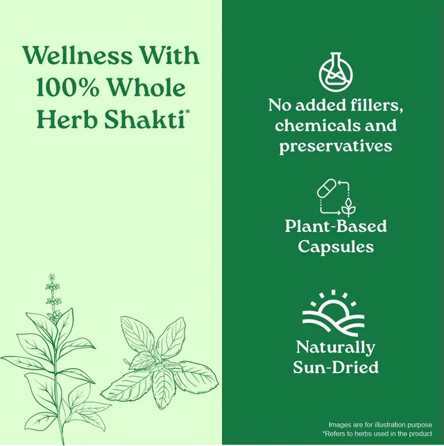 ORGANIC INDIA Immunity Capsule - Organic - 60Capsule