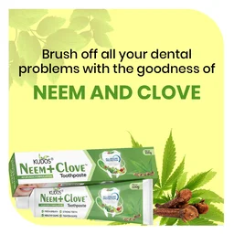 KUDOS AYURVEDA Neem Clove Toothpaste - Kudos - 100Gm