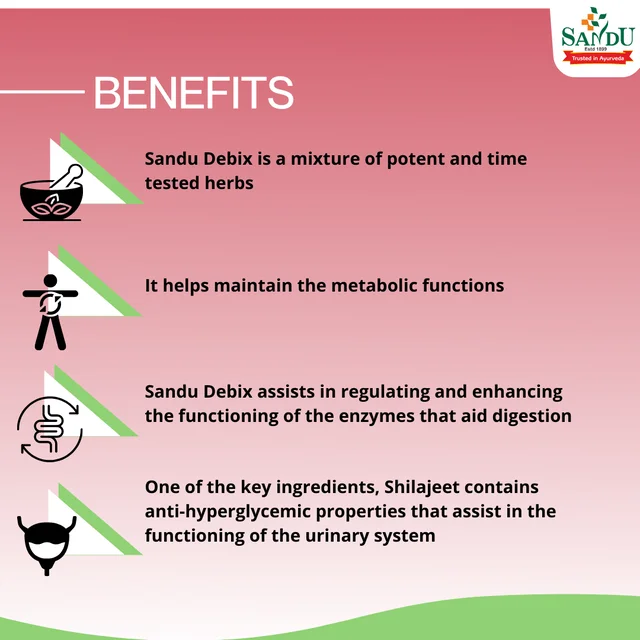 SANDU BROTHERS Debix Tablet - Sandu - 30 Tablets