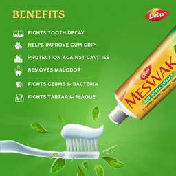 DABUR INDIA LIMITED Meswak Paste - Dabur - 300Gm