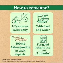 ORGANIC INDIA Ashwaganda Capsule - Organic - 60Capsule