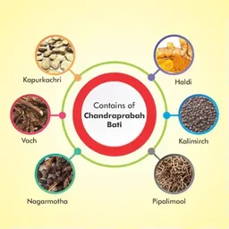 BAIDYANATH Chandraprabha Bati - Baidyanath - 80Tablet