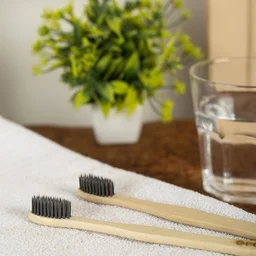PINNACLE INNOVATORY Ecopath Charcoal Wooden Tooth Brush - Pinnacle Innovatory - 1