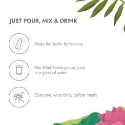 KAPIVA Karela Jamun Juice - Kapiva - 1l
