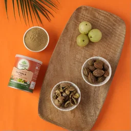 ORGANIC INDIA Triphala Powder - Organic - 100g