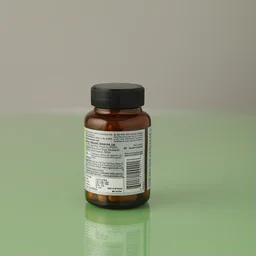 ORGANIC INDIA Amalaki Capsule - Organic - 60Capsule