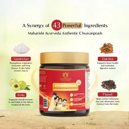 MAHARISHI AYURVEDA Chyavanaprasha - Maharishi - 500g