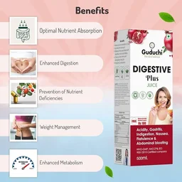 GUDUCHI THE AYURVEDI Digestive Plus Juice - Guduchi - 500ml