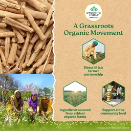ORGANIC INDIA Ashwaganda Capsule - Organic - 60Capsule