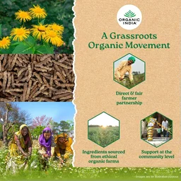 ORGANIC INDIA Breath Free Capsule - Organic - 60Capsule