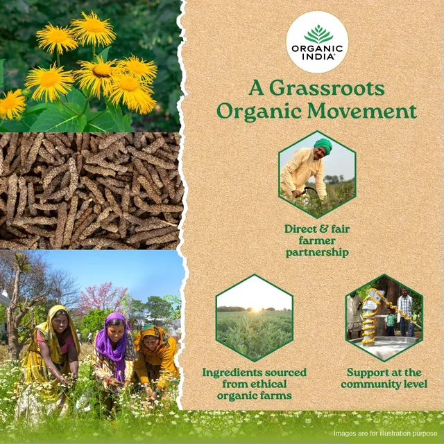 ORGANIC INDIA Breath Free Capsule - Organic - 60Capsule