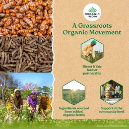 ORGANIC INDIA Turmeric - Organic - 60Capsule