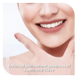 KUDOS AYURVEDA Neem Clove Toothpaste - Kudos - 100Gm