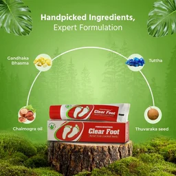 PANKAJA KASTHURI HERBALSg Clear Foot Cream - Pankaja - 25g