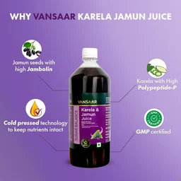 Vansaar Karela & Jamun Juice - Vansaar - 1L