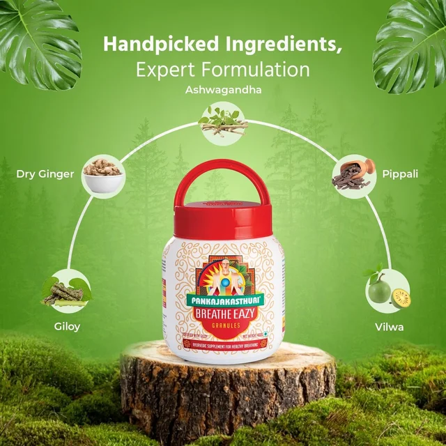 PANKAJA KASTHURI HERBALS Breathe Eazy Granules - Pankaja - 200g