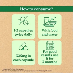 ORGANIC INDIA Breath Free Capsule - Organic - 60Capsule