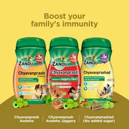 ZANDU PHARMACEUTICAL Chyavanprashad Sugar Free - Zandu - 900Gm