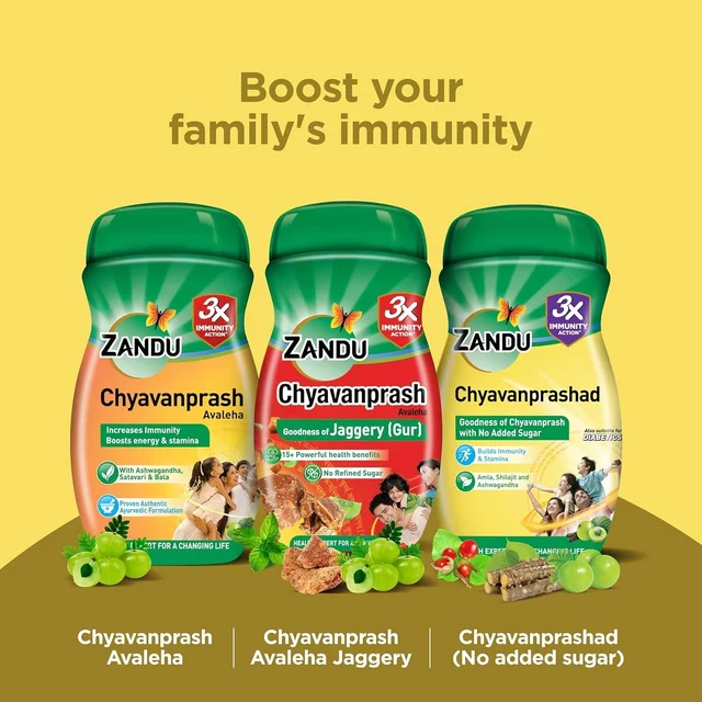 ZANDU PHARMACEUTICAL Chyavanprashad Sugar Free - Zandu - 900Gm