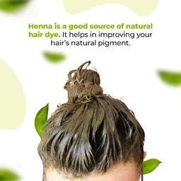 V CARE HERBAL CONCEPTS Henna Powder - V Care - 100Gm