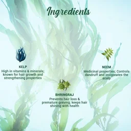 BIOTIQUE Ocean Kelp Shampoo - Biotique - 180ml
