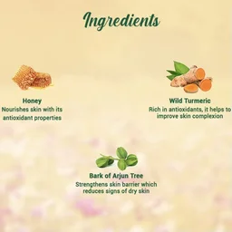 BIOTIQUE Honey Gel Face Wash - Biotique - 150ml