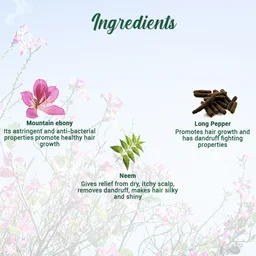 BIOTIQUE Mountain Ebony Hair Serum - Biotique - 120ml
