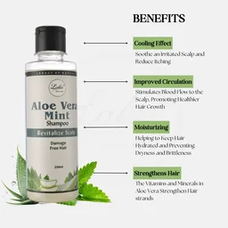 LALA DAWASAZ PVT LTD Aloevera & Mint Shampoo - Lalas - 250ml