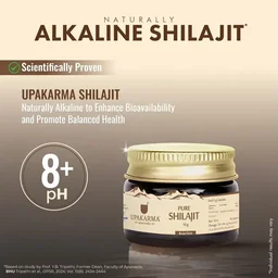 MANKIND PHARMA Pure Shilajit Resin Form - Upkarma - 15g