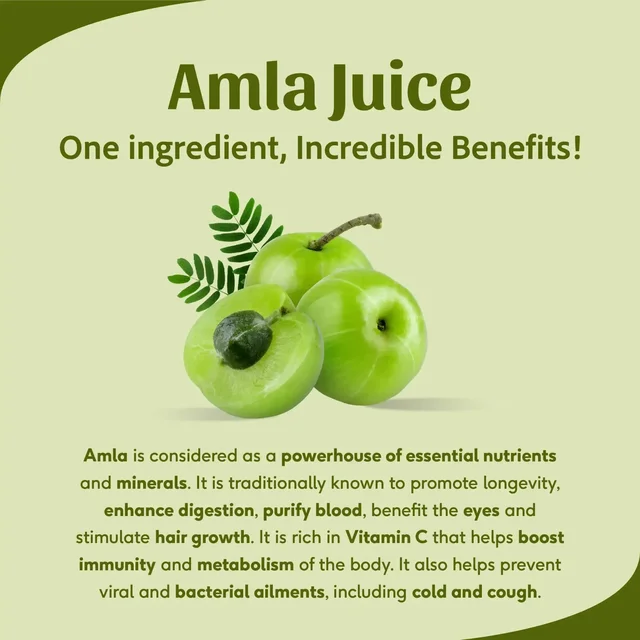 SRI SRI AYURVEDA Amla Juice - Sri Sri - 1L