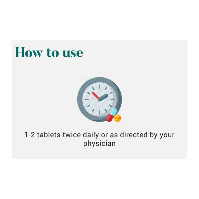 HIMALAYA DRUGS Amalaki Tablet - Himalaya - 60Tablet