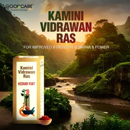Baidyanath Kamini Vidrawan Ras-Baidyanath - 10Gram