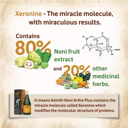 MS.VAL YOU PRODUCTS Amrith Noni Artho Plus Syrup - Ms. Val You Product - 750Ml
