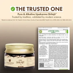 MANKIND PHARMA Pure Shilajit Resin Form - Upkarma - 15g