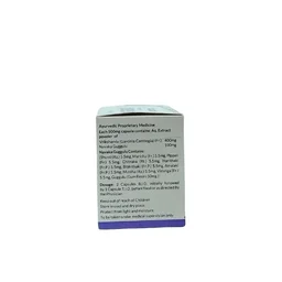 REVINTO LIFE SCIENCE Stefit Capsule - Revinto - 10 Capsules