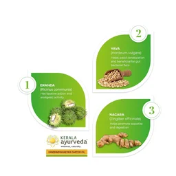 Kerala Ayurveda Gandharvahastadi Castor Oil - Kerala - 100ml