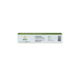 Kerala Ayurveda KM Lepam - Kerala - 20g