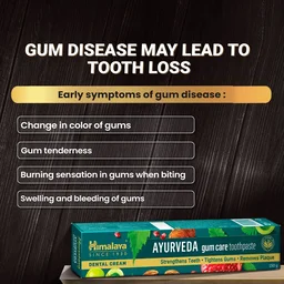HIMALAYA DRUGS Ayurveda Gum Care Toothpaste - Himalaya - 150g