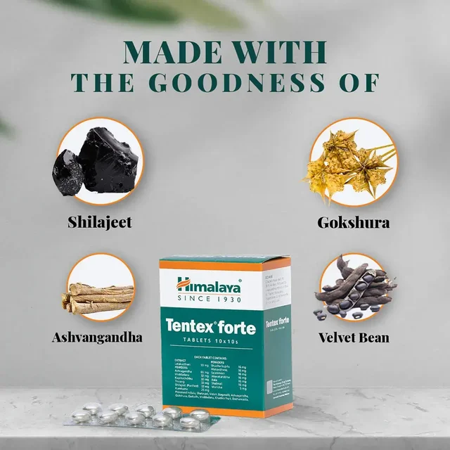 HIMALAYA DRUGS Tentex Forte Tablet - Himalaya - 10Tablet