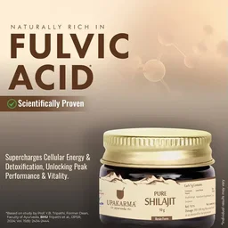 MANKIND PHARMA Pure Shilajit Resin Form - Upkarma - 15g