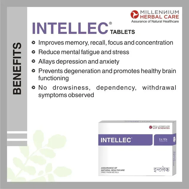 MILLENNIUM HERBALS Intellec Capsule - Millennium - 10Capsules
