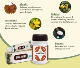 CHARAK Gum Tone Powder - Charak - 40gm