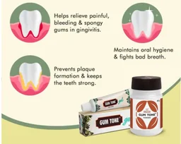 CHARAK Gum Tone Powder - Charak - 40gm